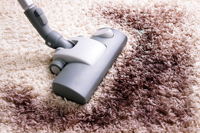 5 Things to Look For in a Carpet Cleaning Company