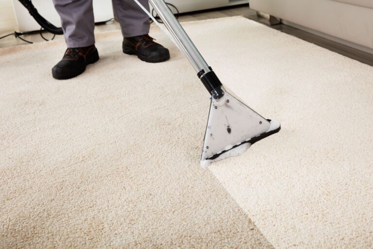 3 Reasons to Have Your Carpets Cleaned Regularly